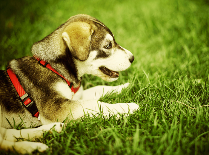 短信轰炸业务网