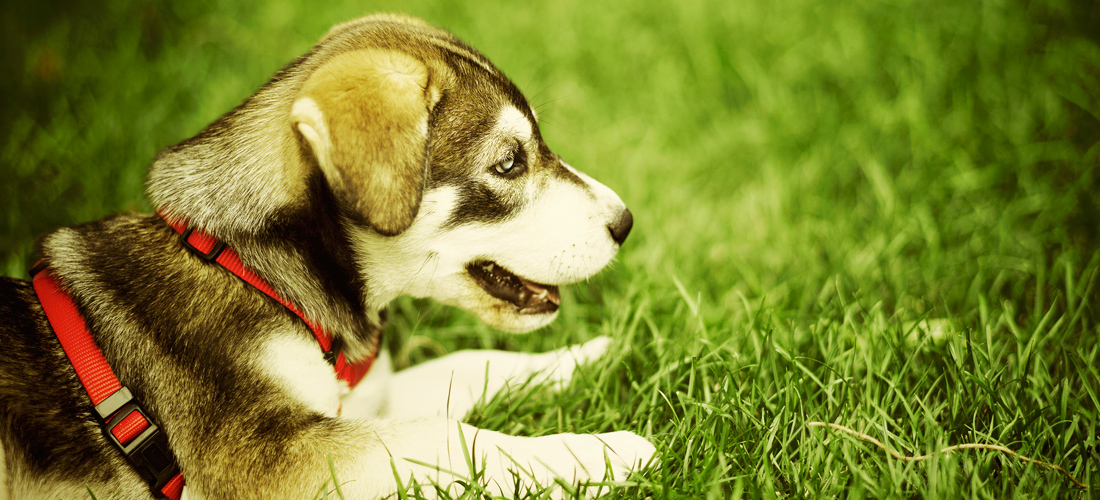 手机号群发平台