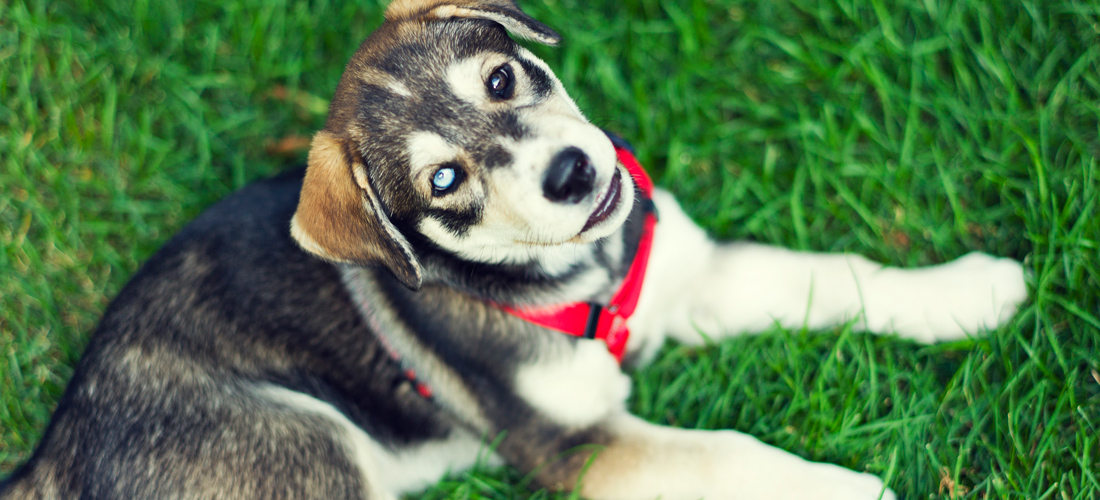 短信验证码轰炸网址免费