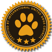 手机号群发平台